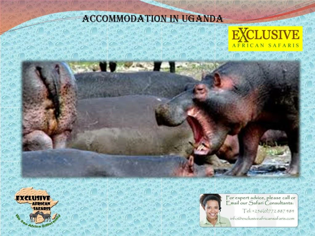 accommodation in uganda n.