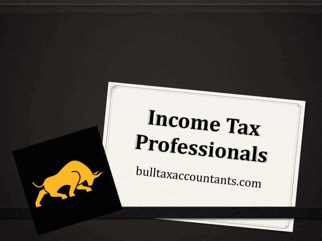 income tax professionals n.