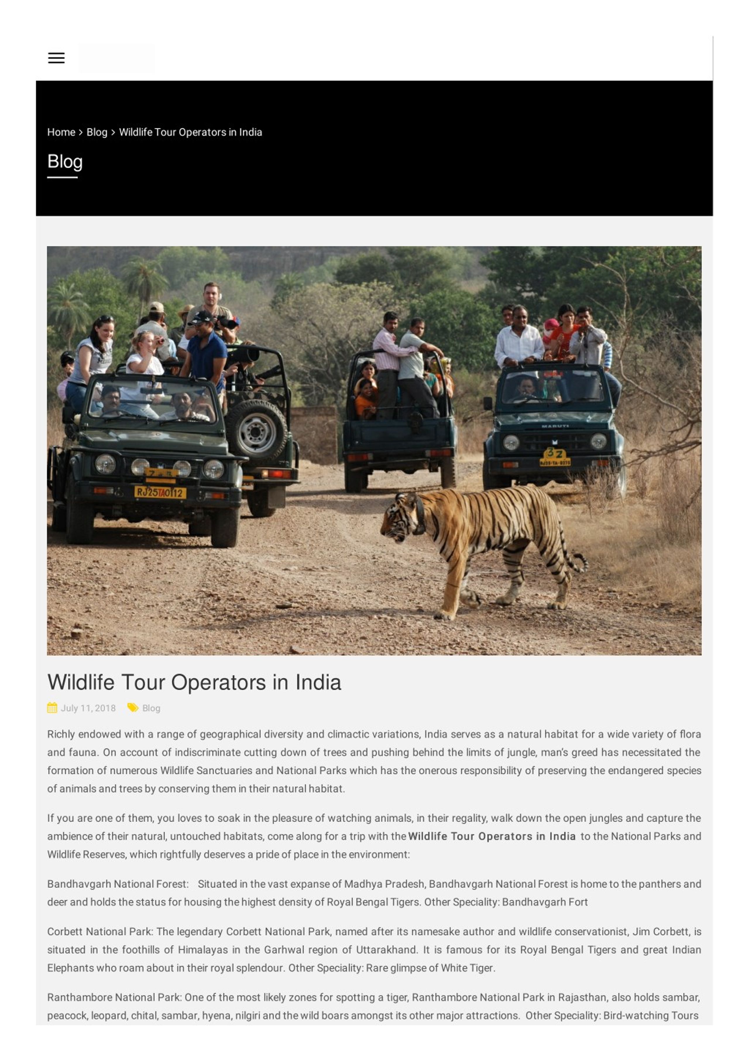 wildlife tour operators