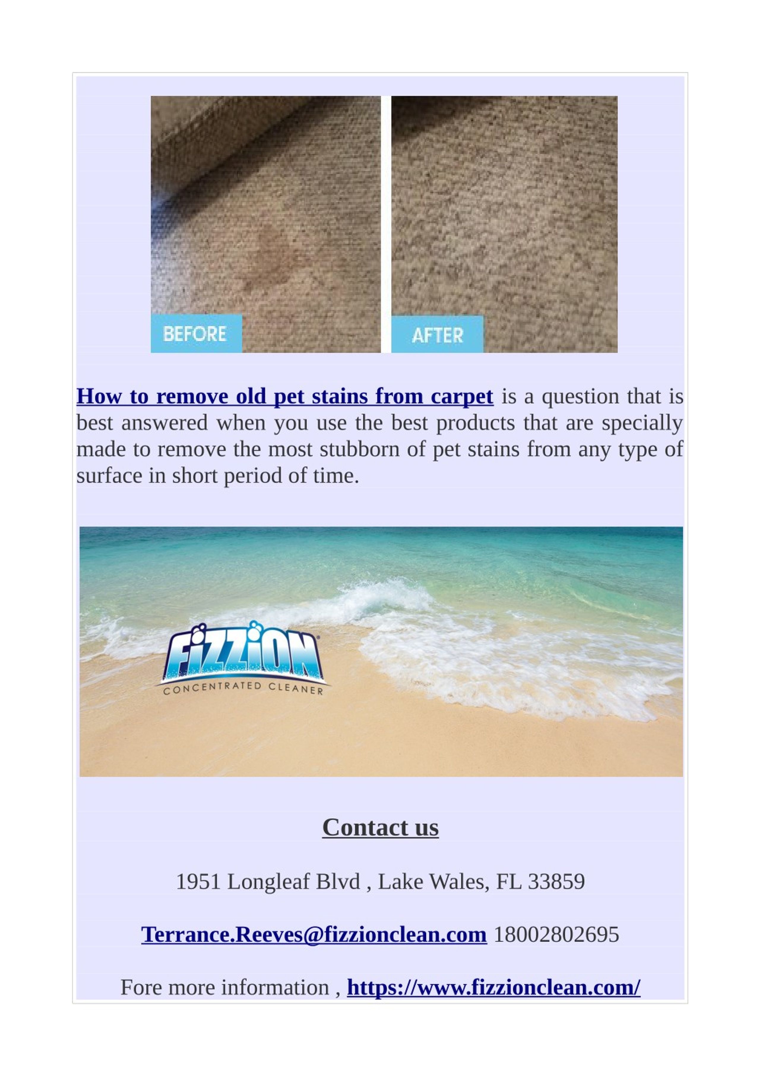 ppt-how-to-remove-old-pet-stains-from-carpet-powerpoint-presentation