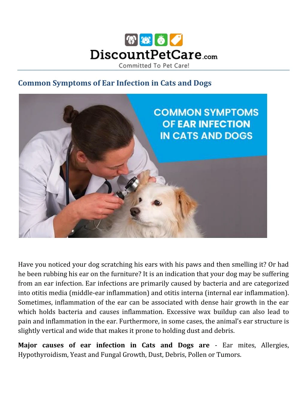 PPT - Symptoms of Ear infection in cats and Dogs PowerPoint ...