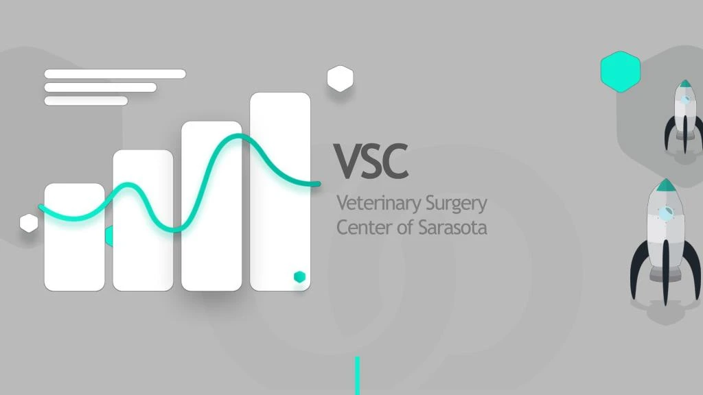 PPT VSC Veterinary Surgery Center of Sarasota PowerPoint