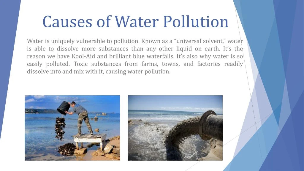 write an essay about cause and effect of water pollution