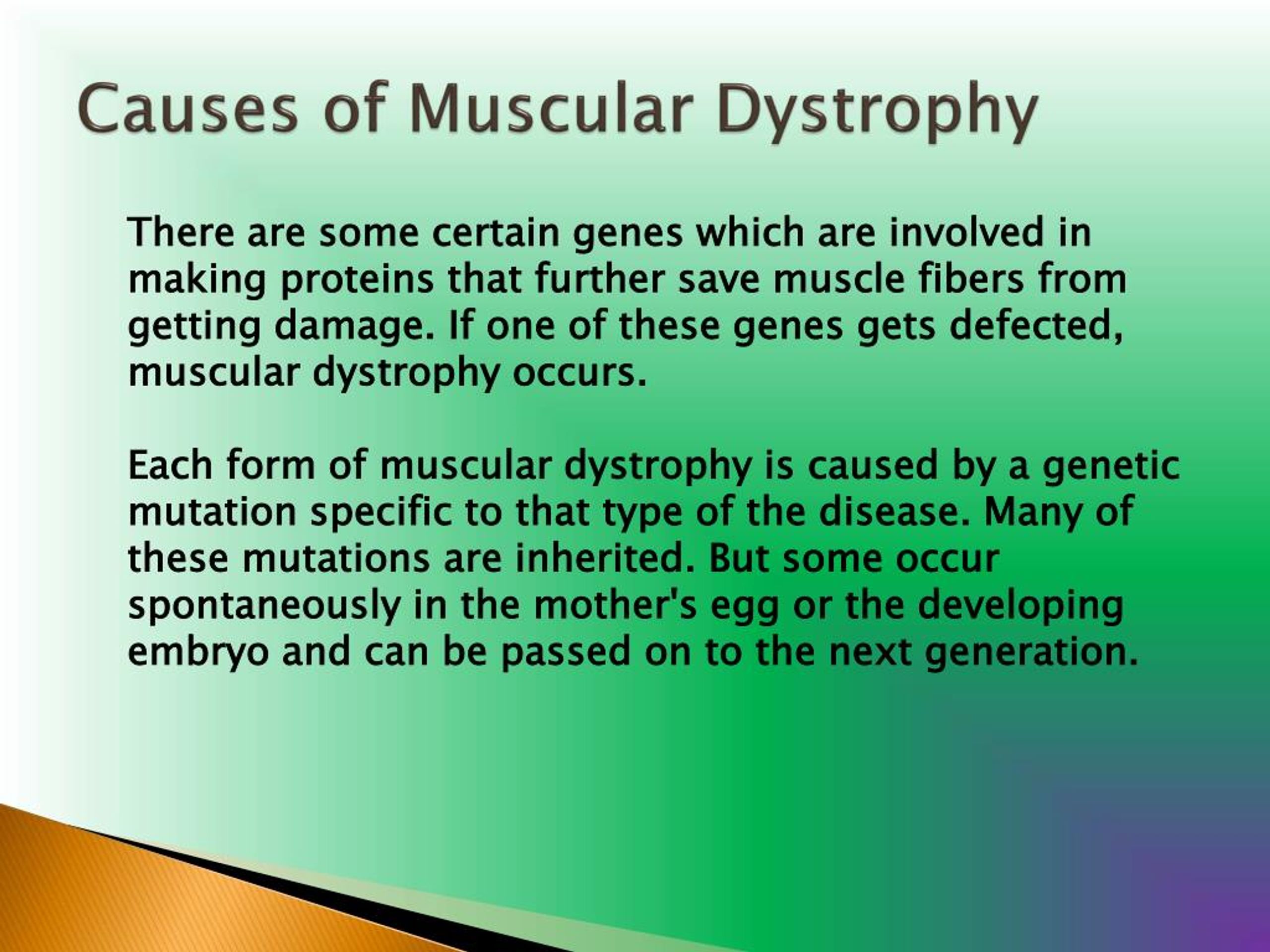 muscular dystrophy causes