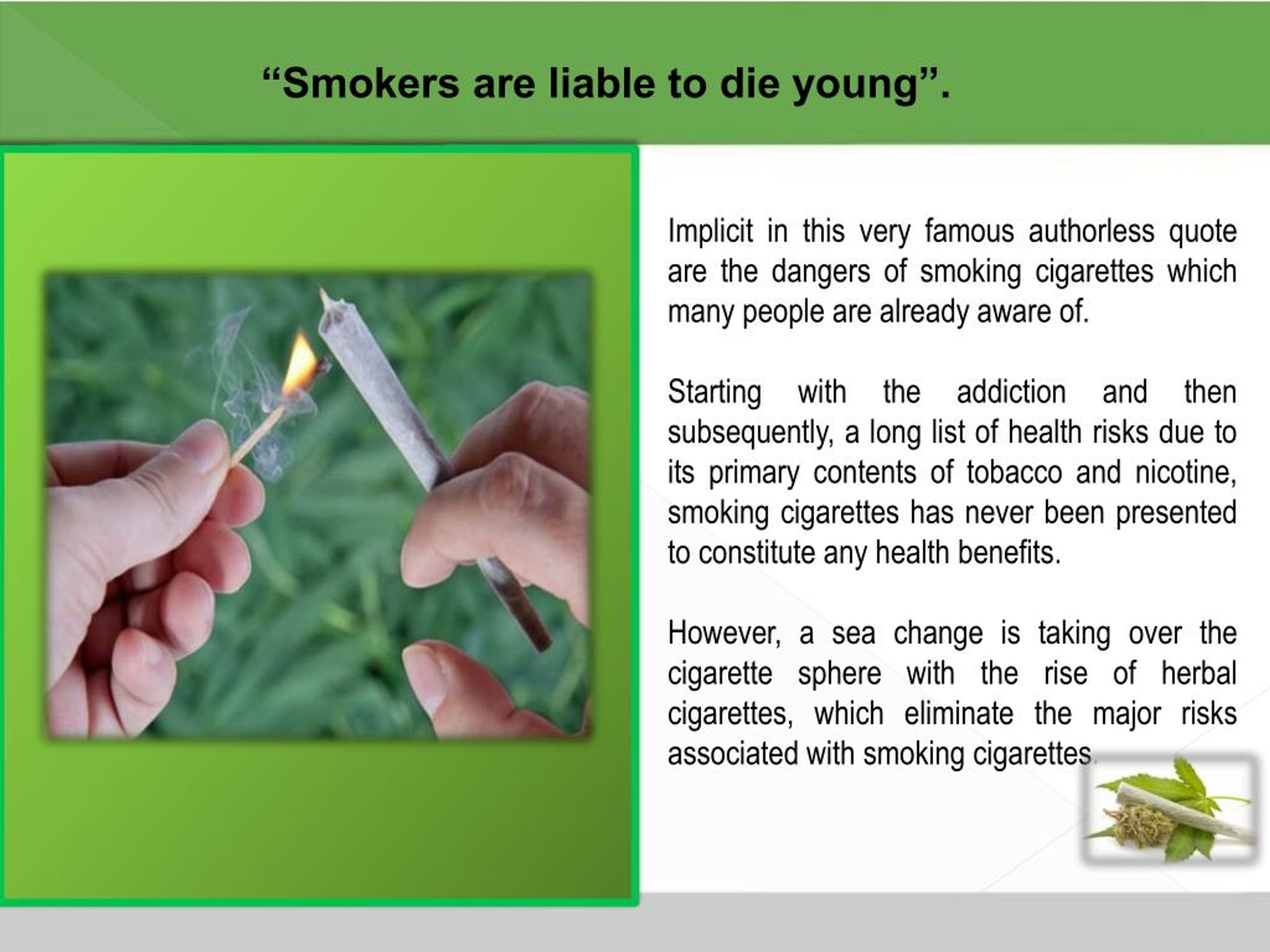 essay on smokers are liable to die young