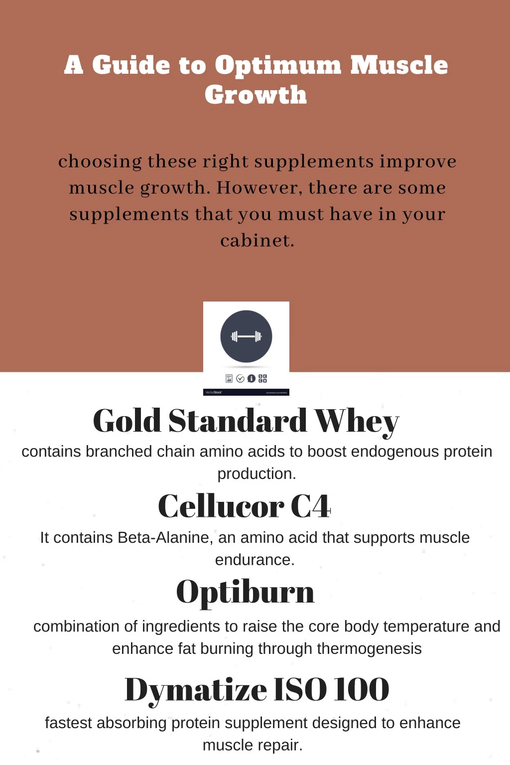 PPT - A Guide to Optimum Muscle Growth PowerPoint Presentation, free ...