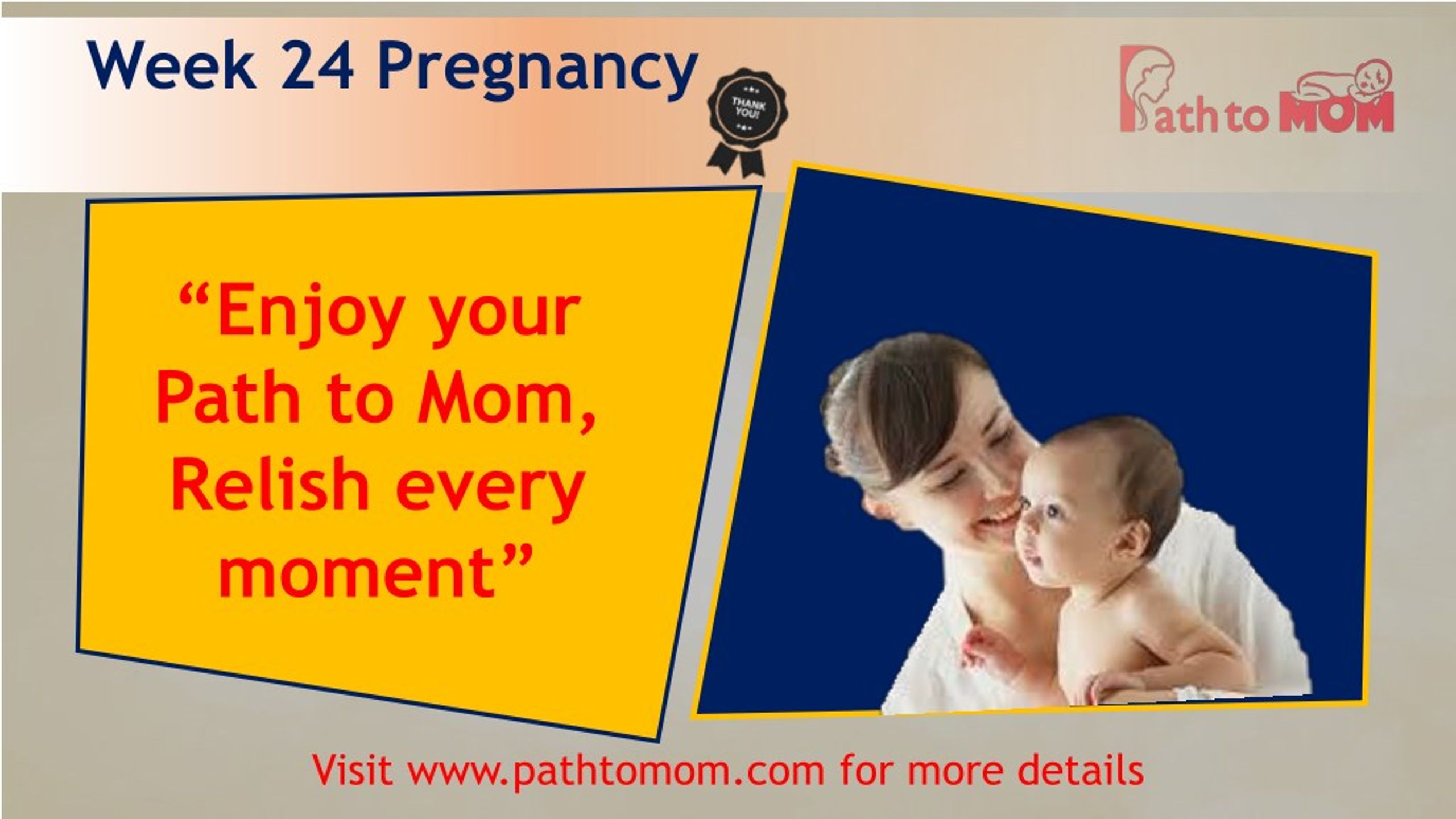 PPT - 24 Weeks Pregnant | Pregnancy Week By Week | Pregnancy Stages ...