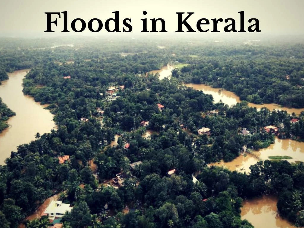 kerala flood case study pdf