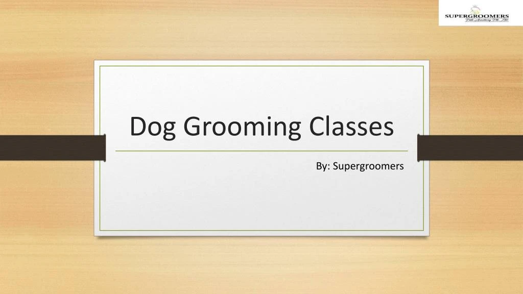 dog grooming classes n.