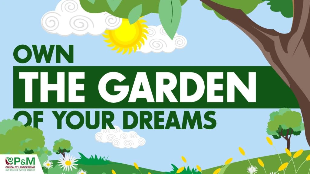 own the garden of your dreams n.