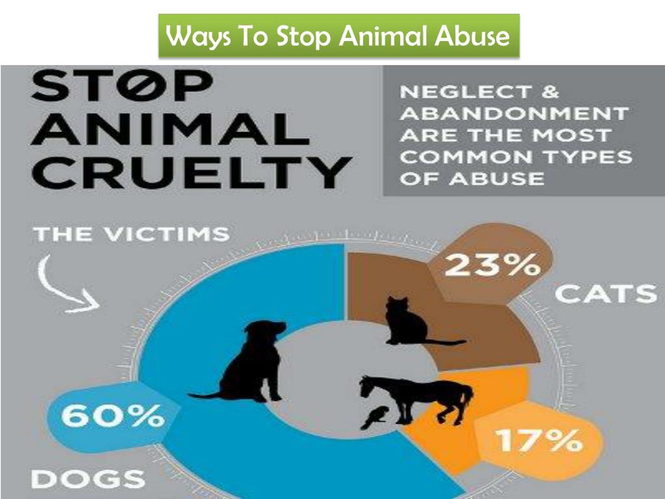 How To Stop Animal Abuse / What Is Animal Cruelty And How