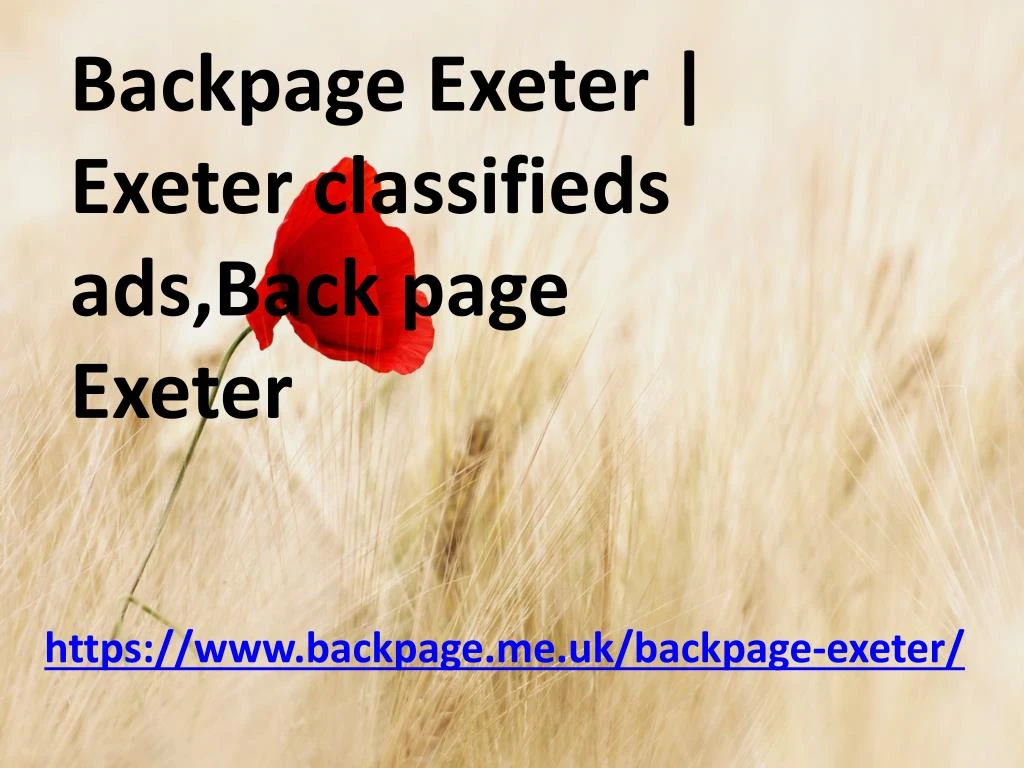backpage exeter exeter classifieds ads back page n.