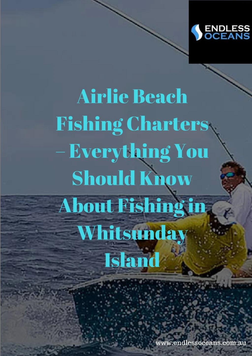 airlie beach fishing charters everything n.