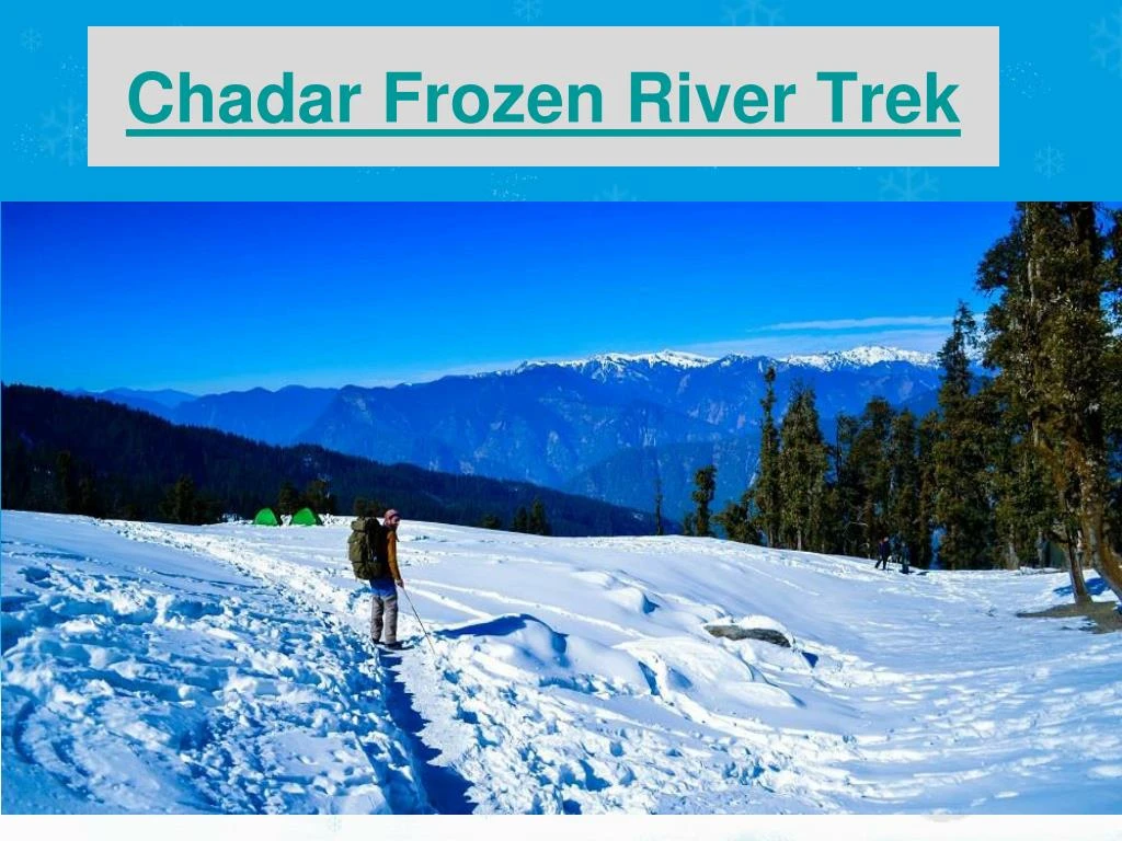 chadar frozen river trek n.