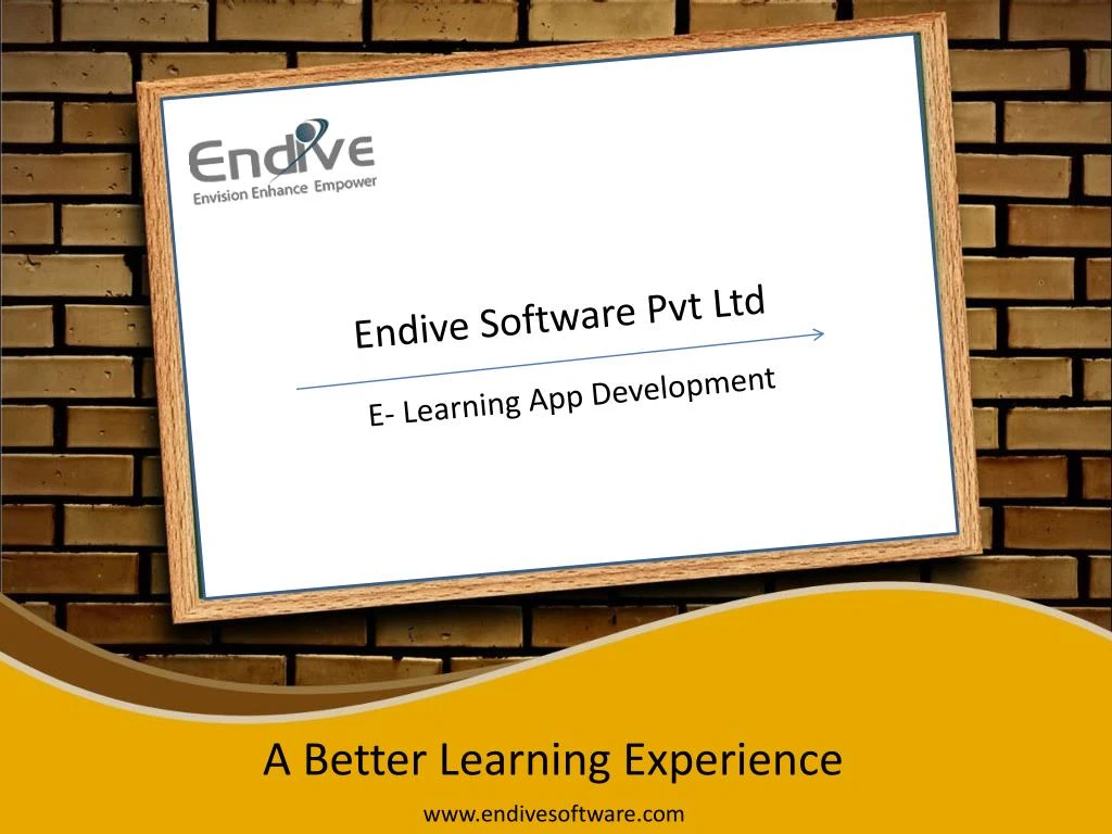 endive software pvt ltd n.
