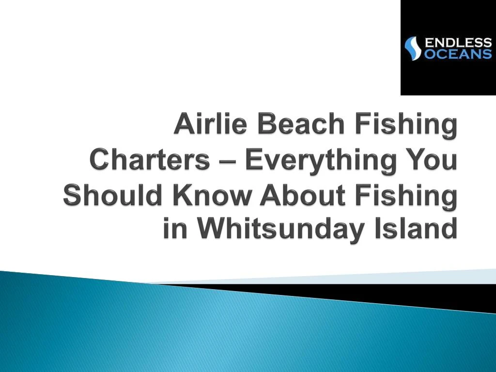 airlie beach fishing charters everything you should know about fishing in whitsunday island n.