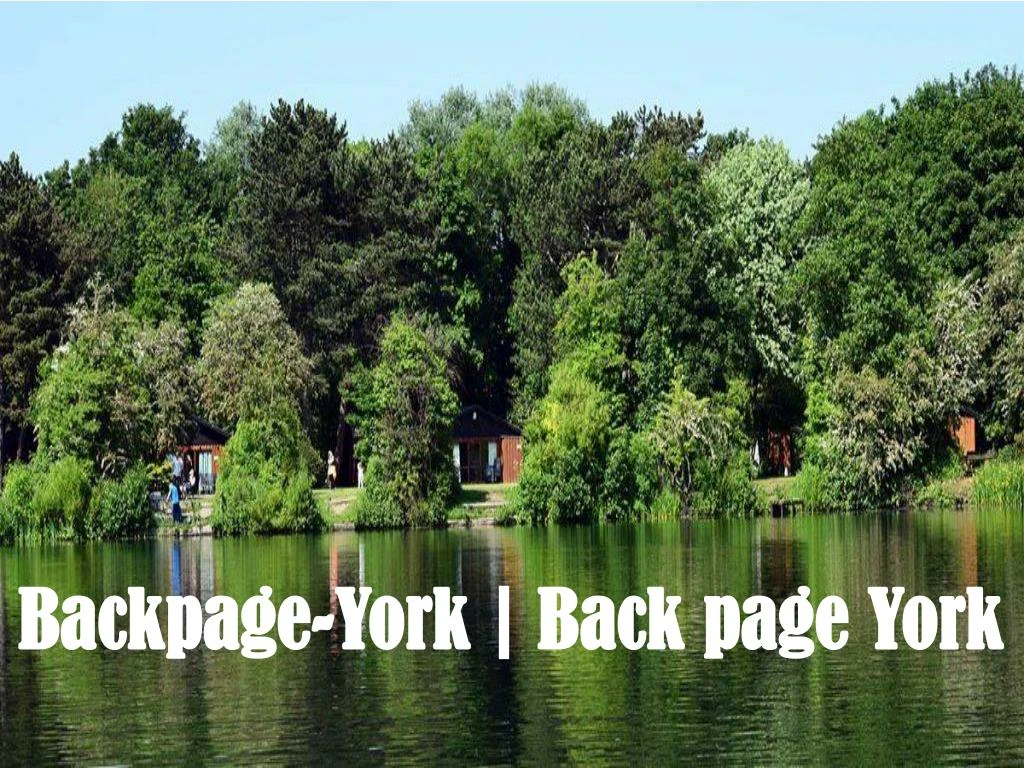backpage york back page york n.