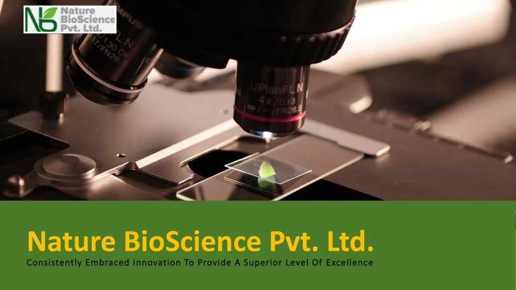 PPT Nature BioScience Enzyme Manufacturers in India PowerPoint