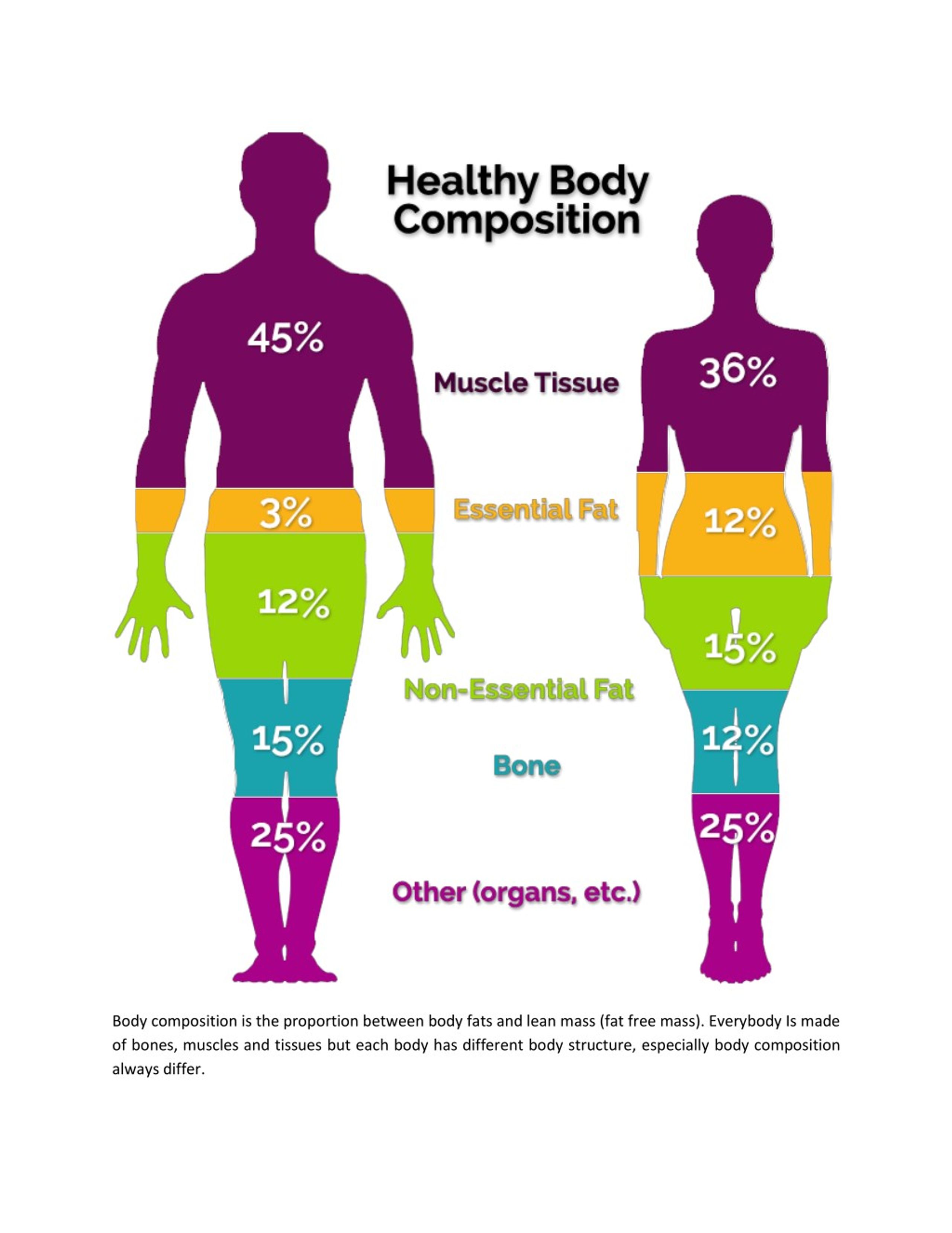 PPT 5 Components Of Fitness PowerPoint Presentation Free Download 