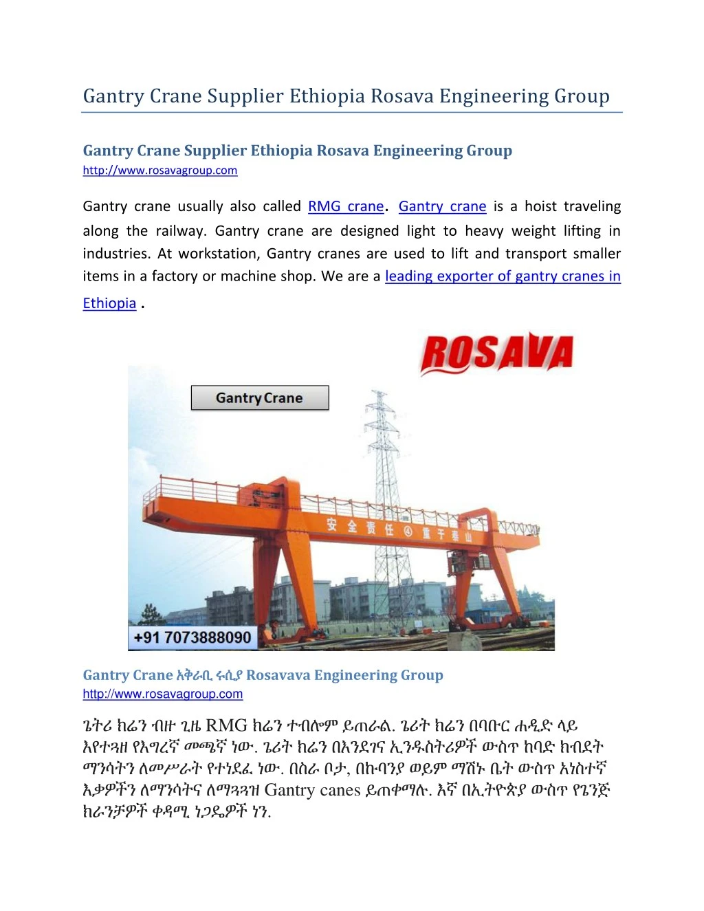 gantry crane supplier ethiopia rosava engineering n.