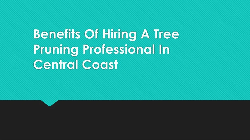 benefits of hiring a tree pruning professional in central coast n.