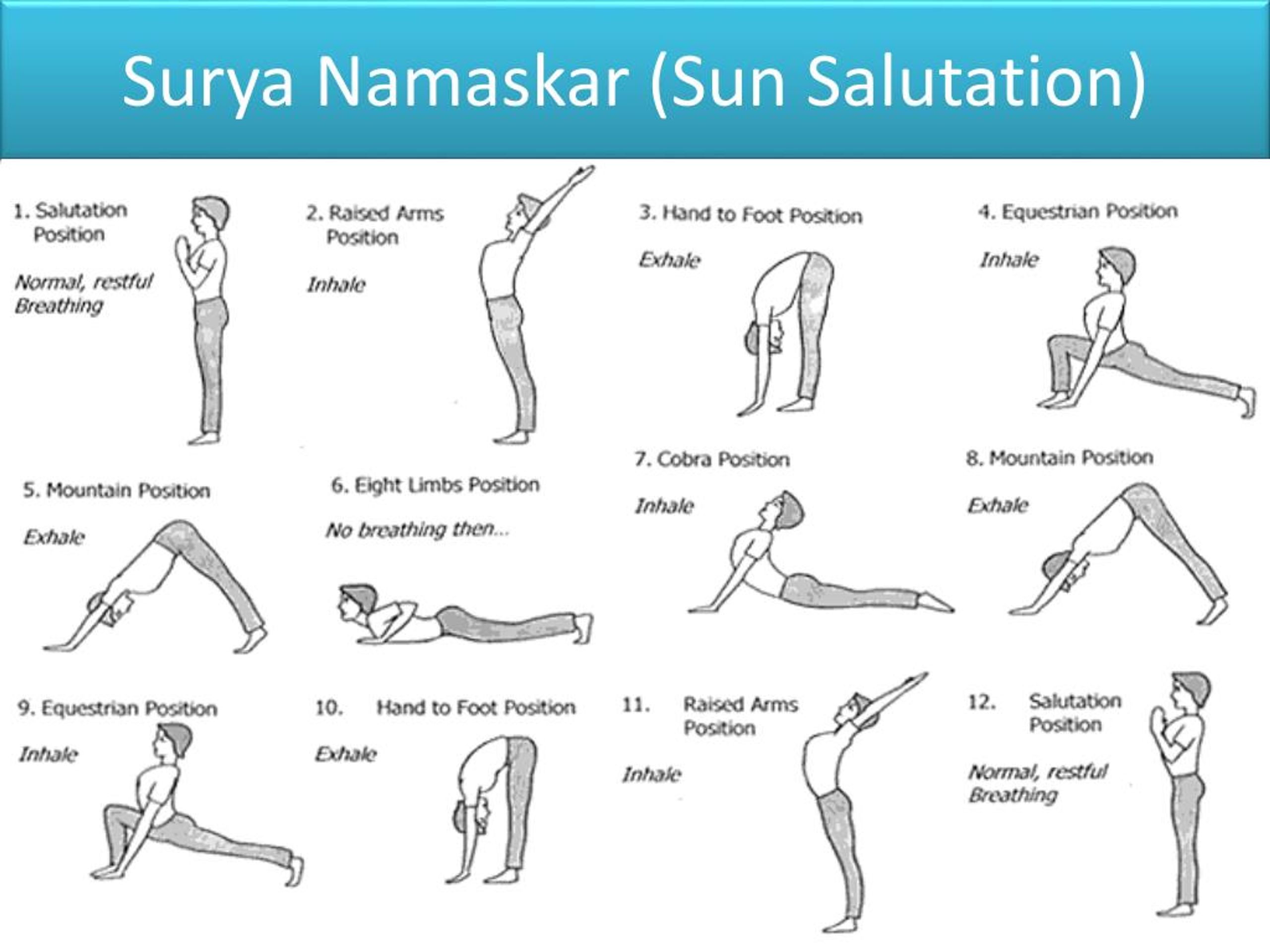 12 poses of Surya Namaskar Sun Salutation for beginners Steps Names