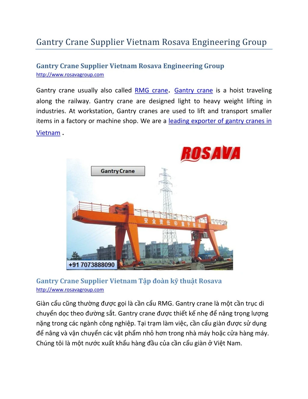gantry crane supplier vietnam rosava engineering n.