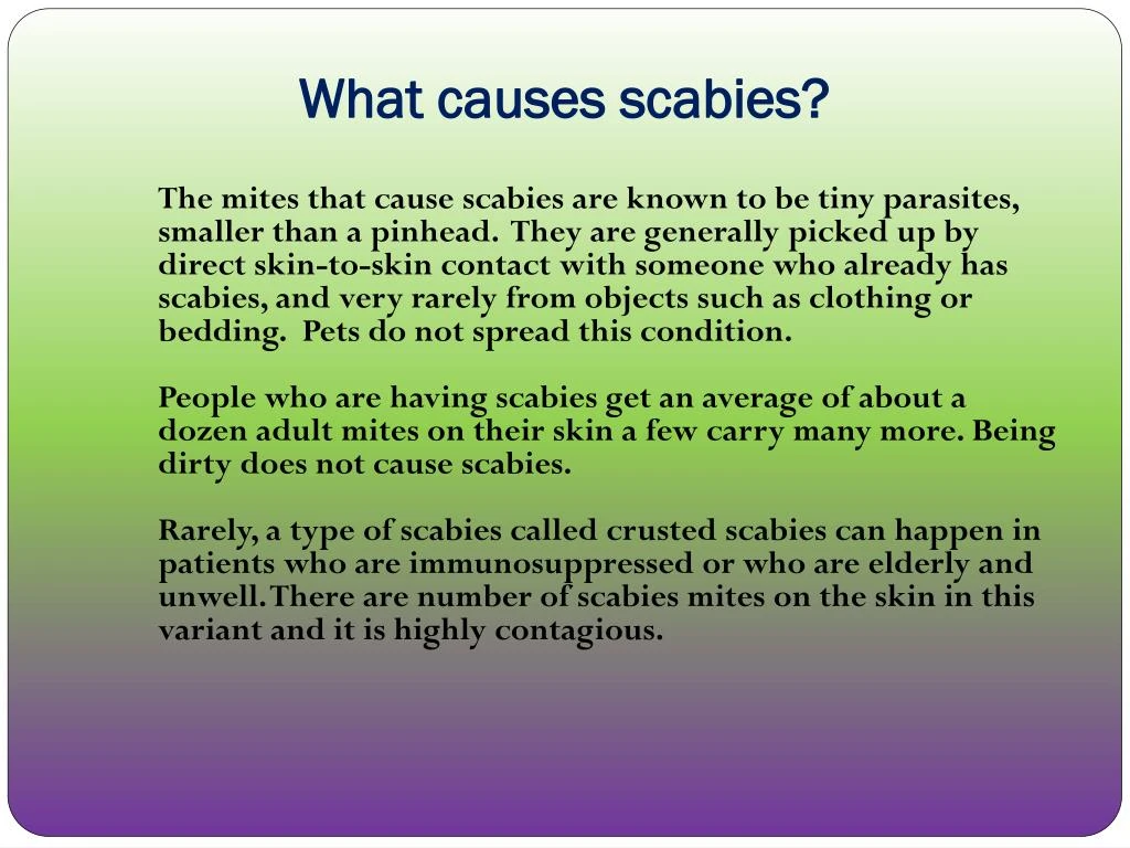 PPT Scabies Causes, Symptoms, Daignosis, Prevention and Treatment