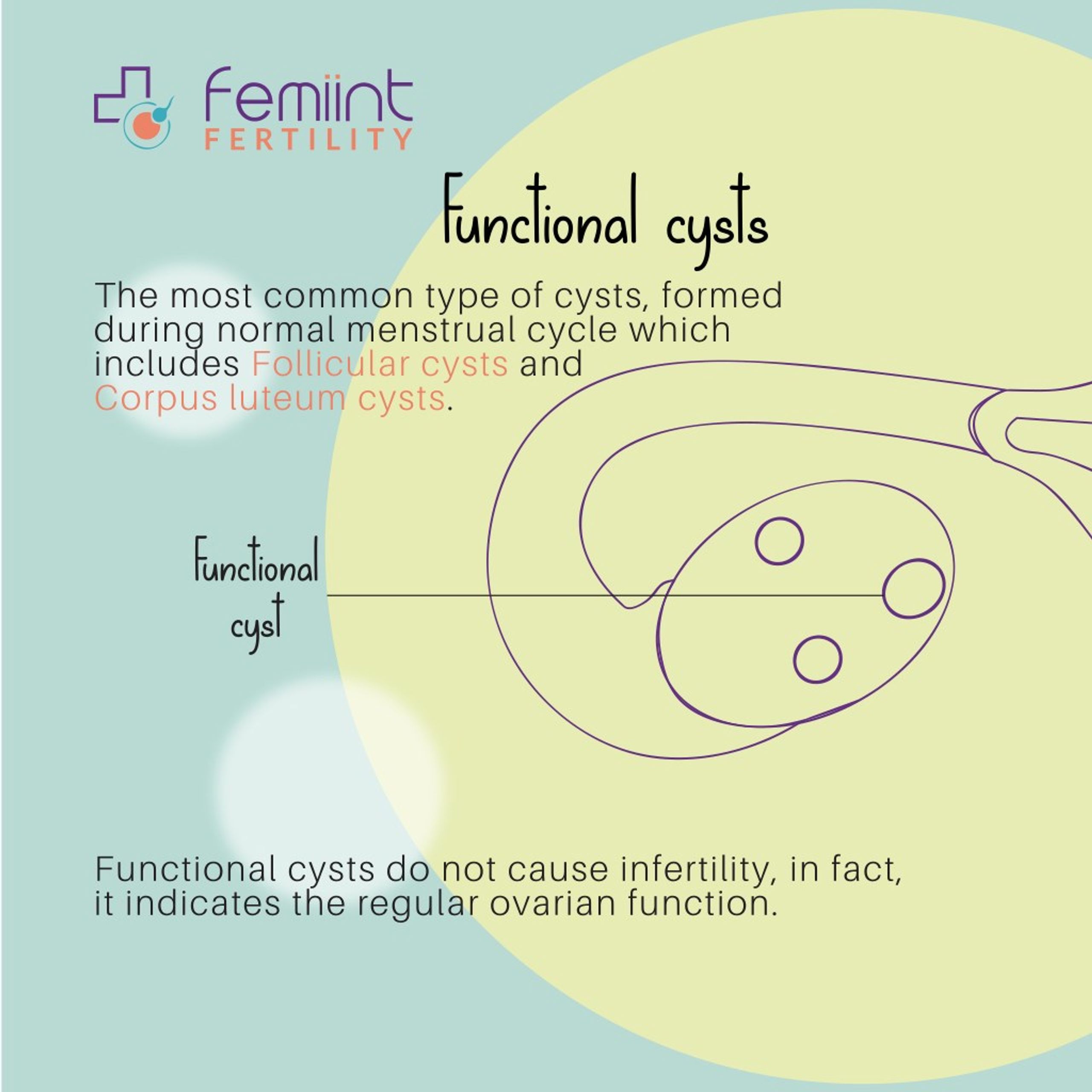 Ppt Does Ovarian Cysts Aï¬€ect Your Fertility Powerpoint Presentation Id8008375