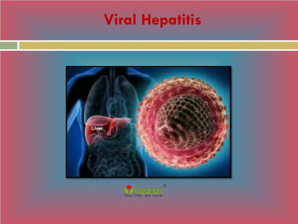 Ppt Viral Hepatitis Causes Symptoms Daignosis Prevention And Treatment Powerpoint