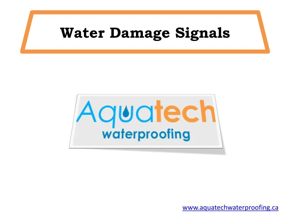water damage signals n.