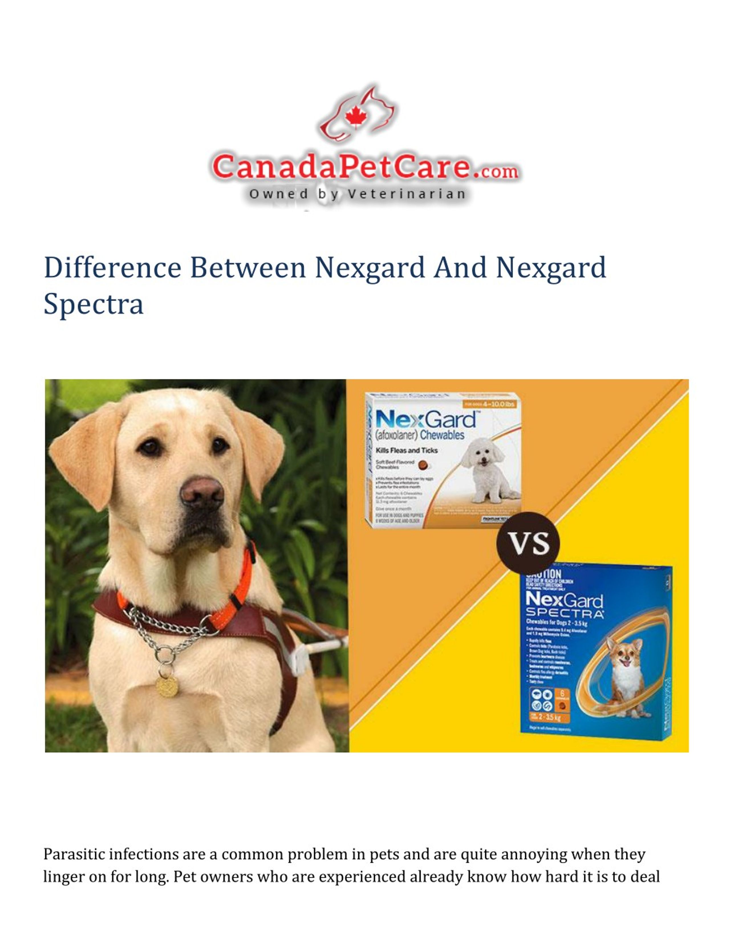 https://image4.slideserve.com/8021217/difference-between-nexgard-and-nexgard-spectra-l.jpg