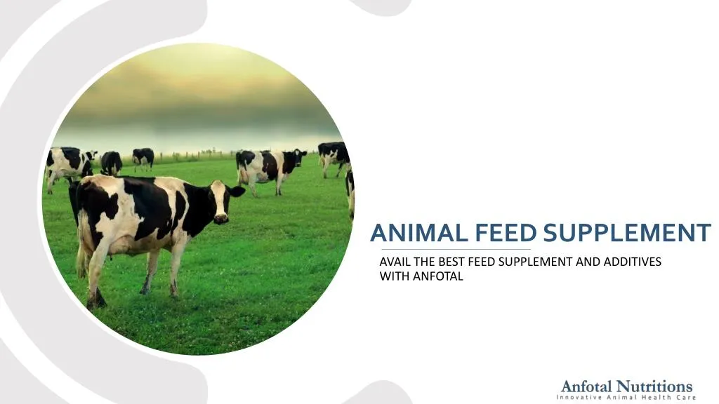 animal feed supplement n.