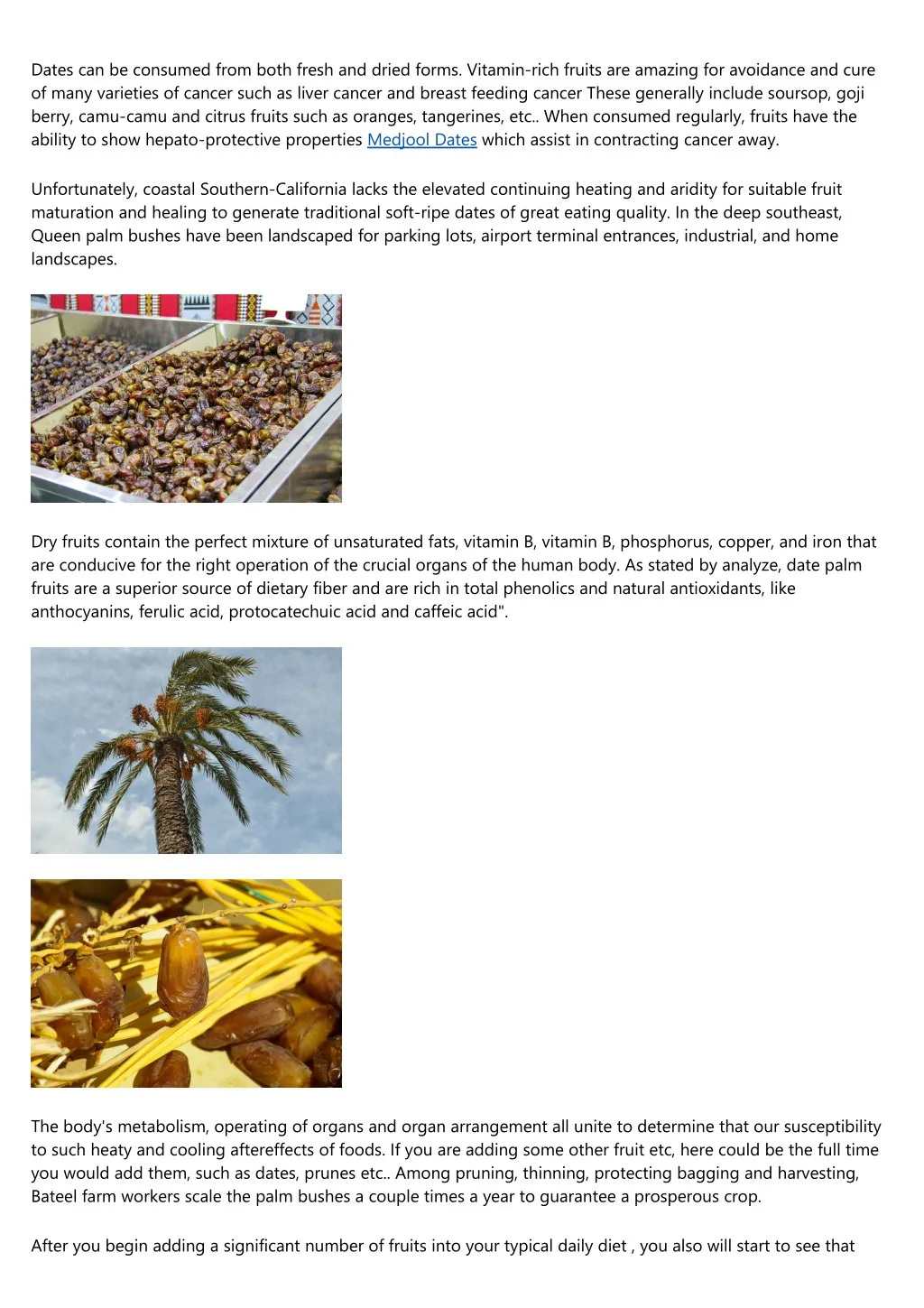 dates can be consumed from both fresh and dried n.