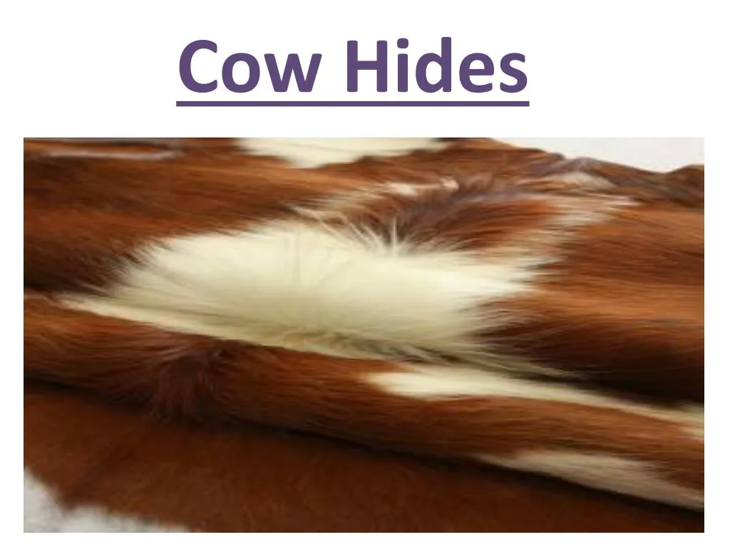 cow hides meaning