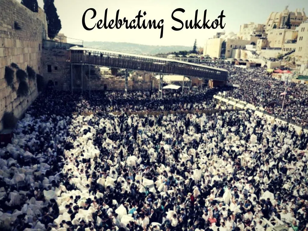 celebrating sukkot n.