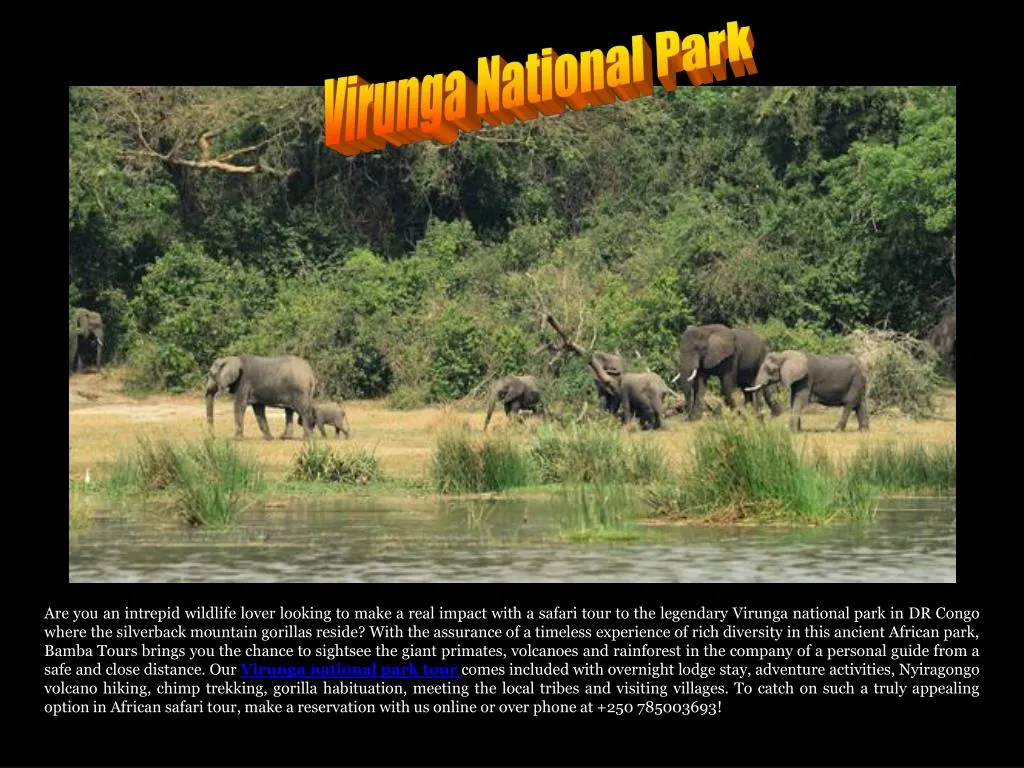 virunga national park n.
