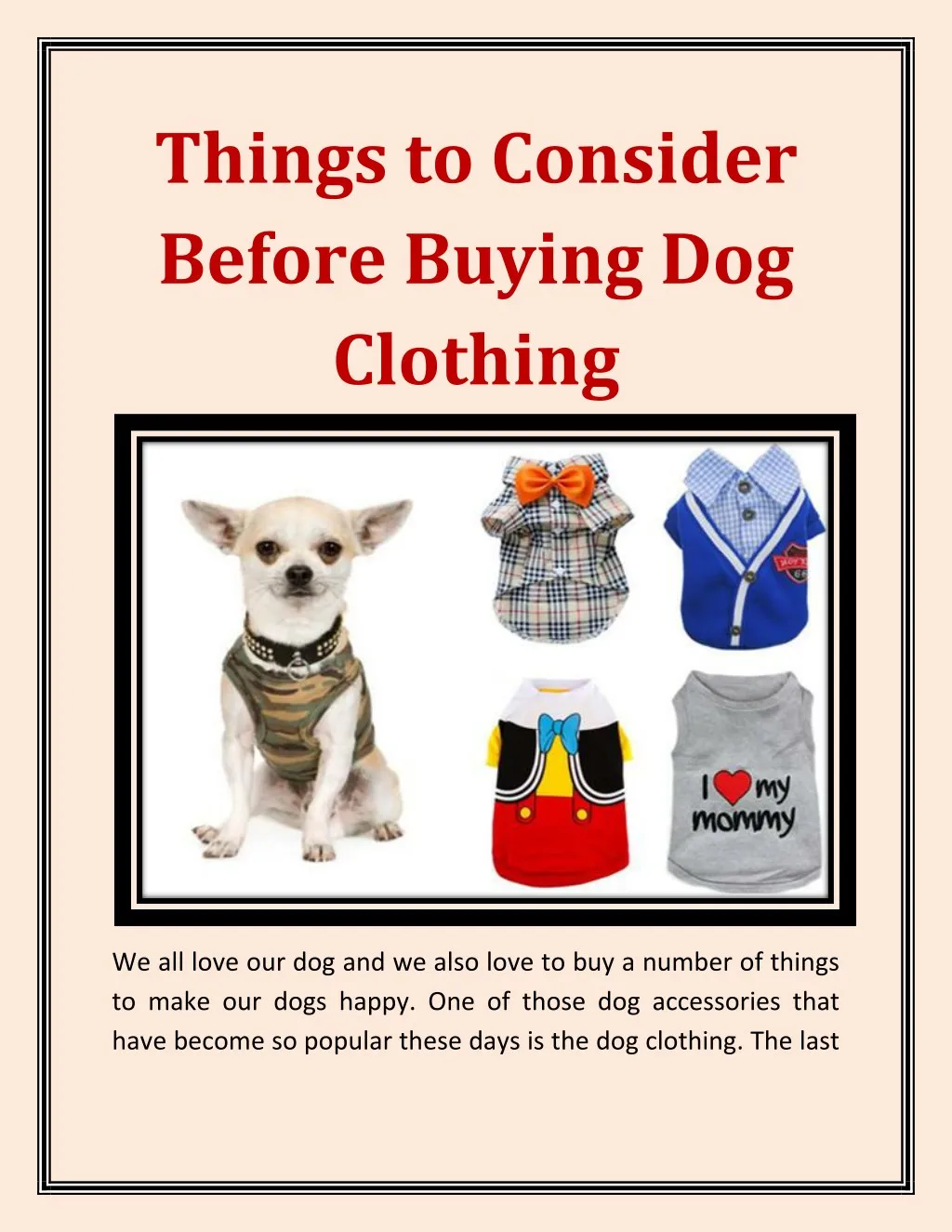 things to consider before buying dog clothing n.