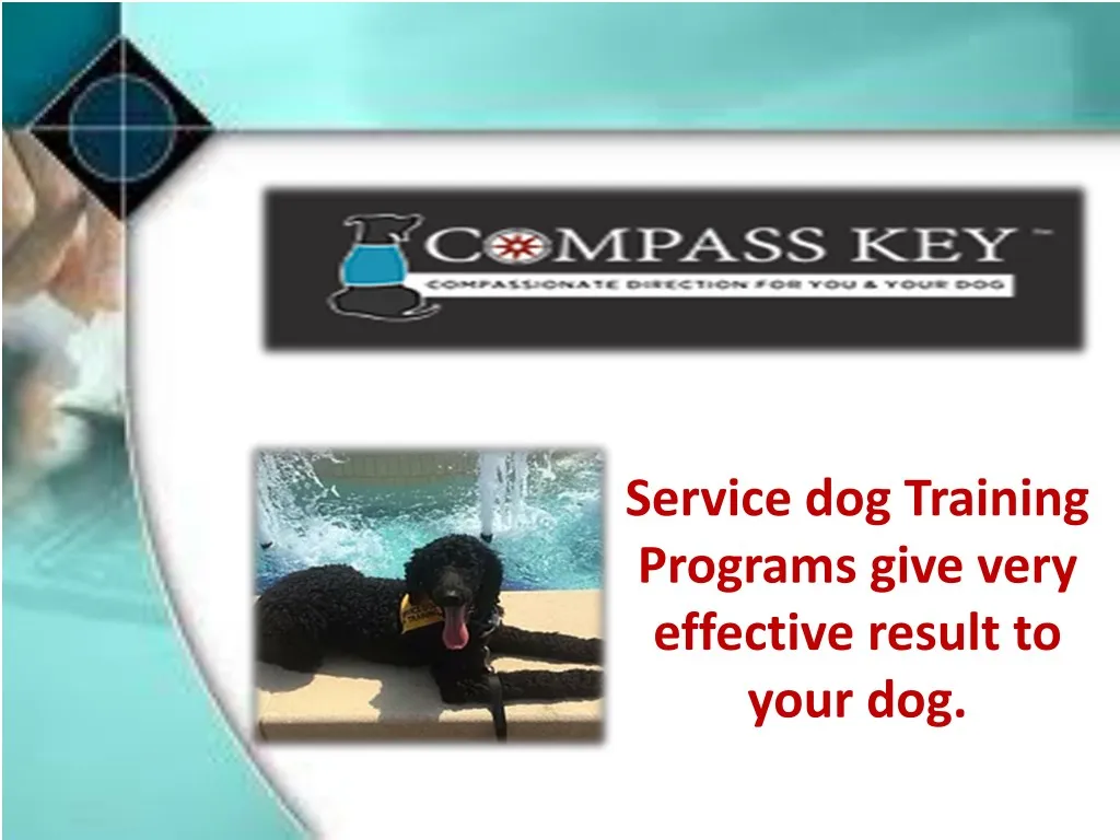 ppt-how-to-certify-a-service-dog-very-easily-powerpoint-presentation