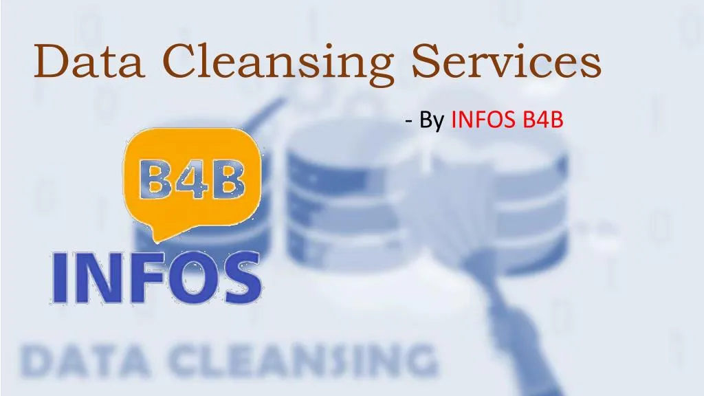 data cleansing services n.