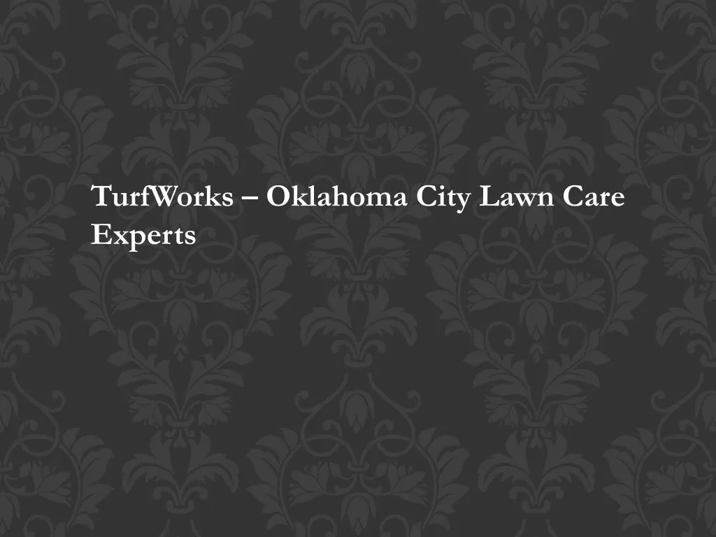 turfworks oklahoma city lawn care experts n.