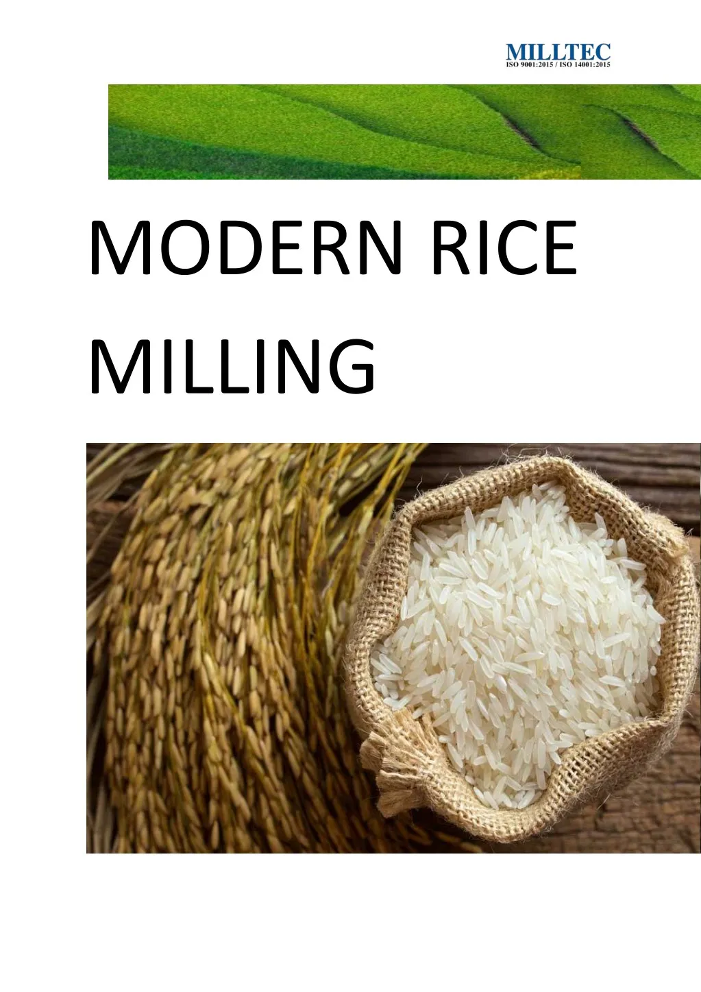 PPT Rice Milling solutions PowerPoint Presentation, free download