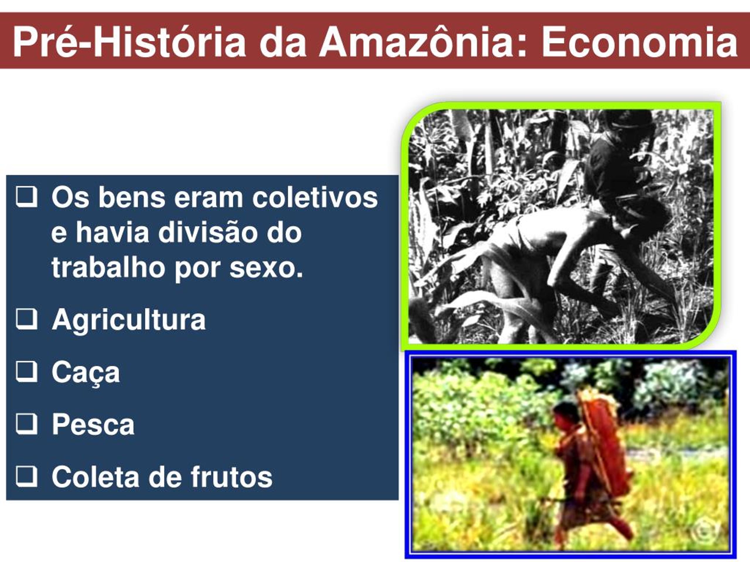 PPT - Fases da Pré-história da Amazônia PowerPoint Presentation, free  download - ID:8046522