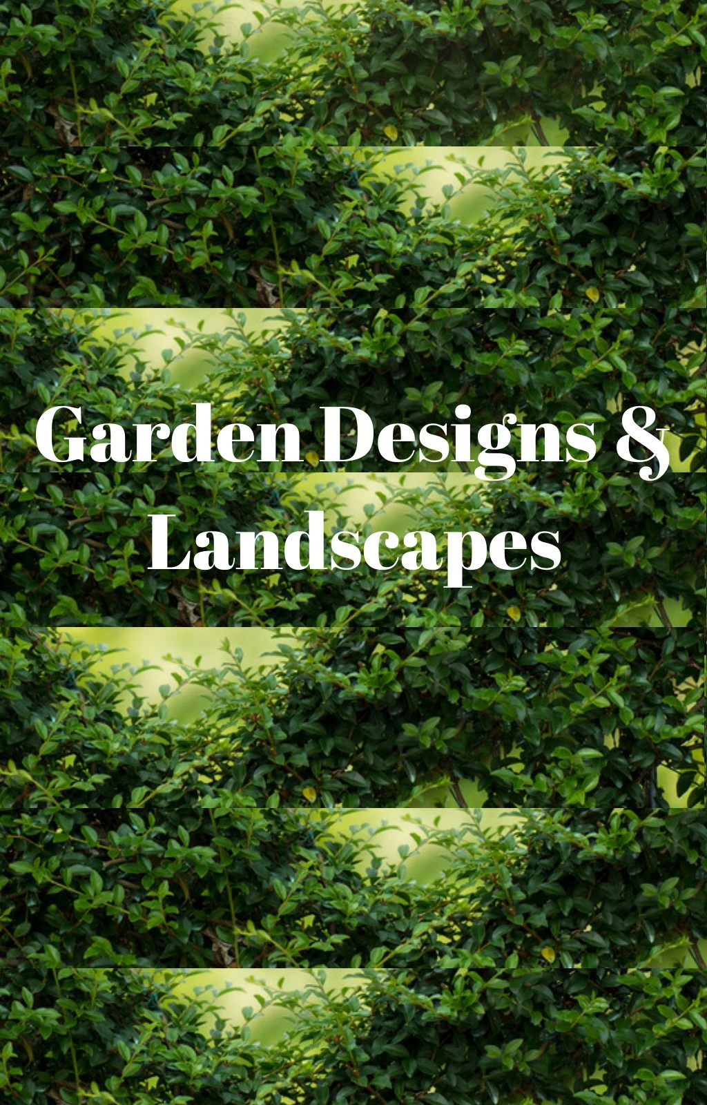 garden designs landscapes n.