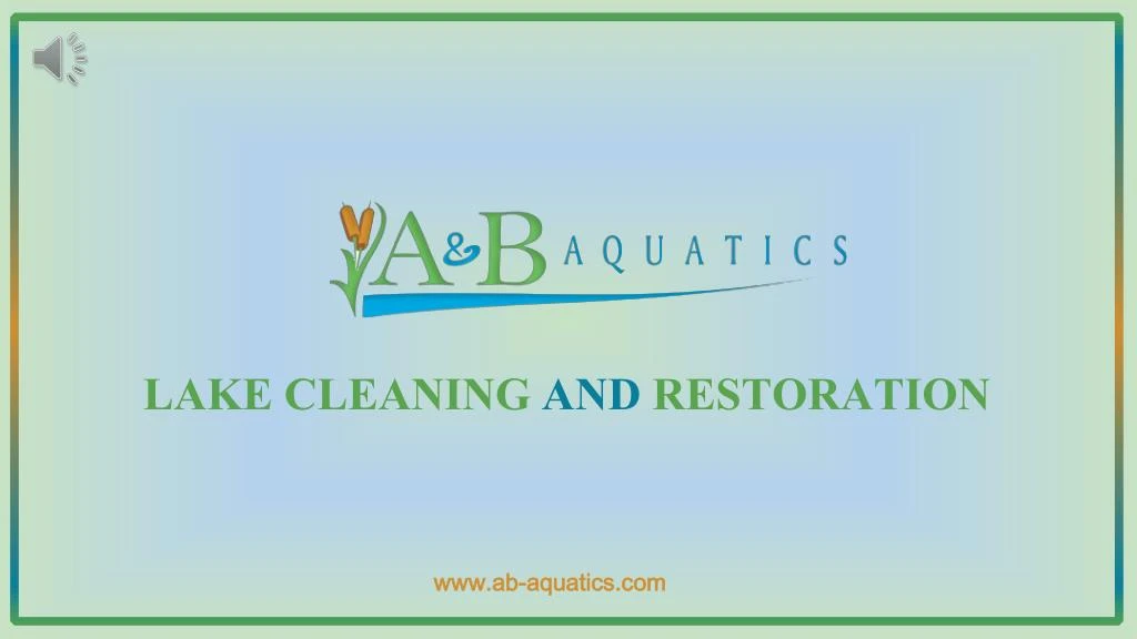 lake cleaning and restoration n.