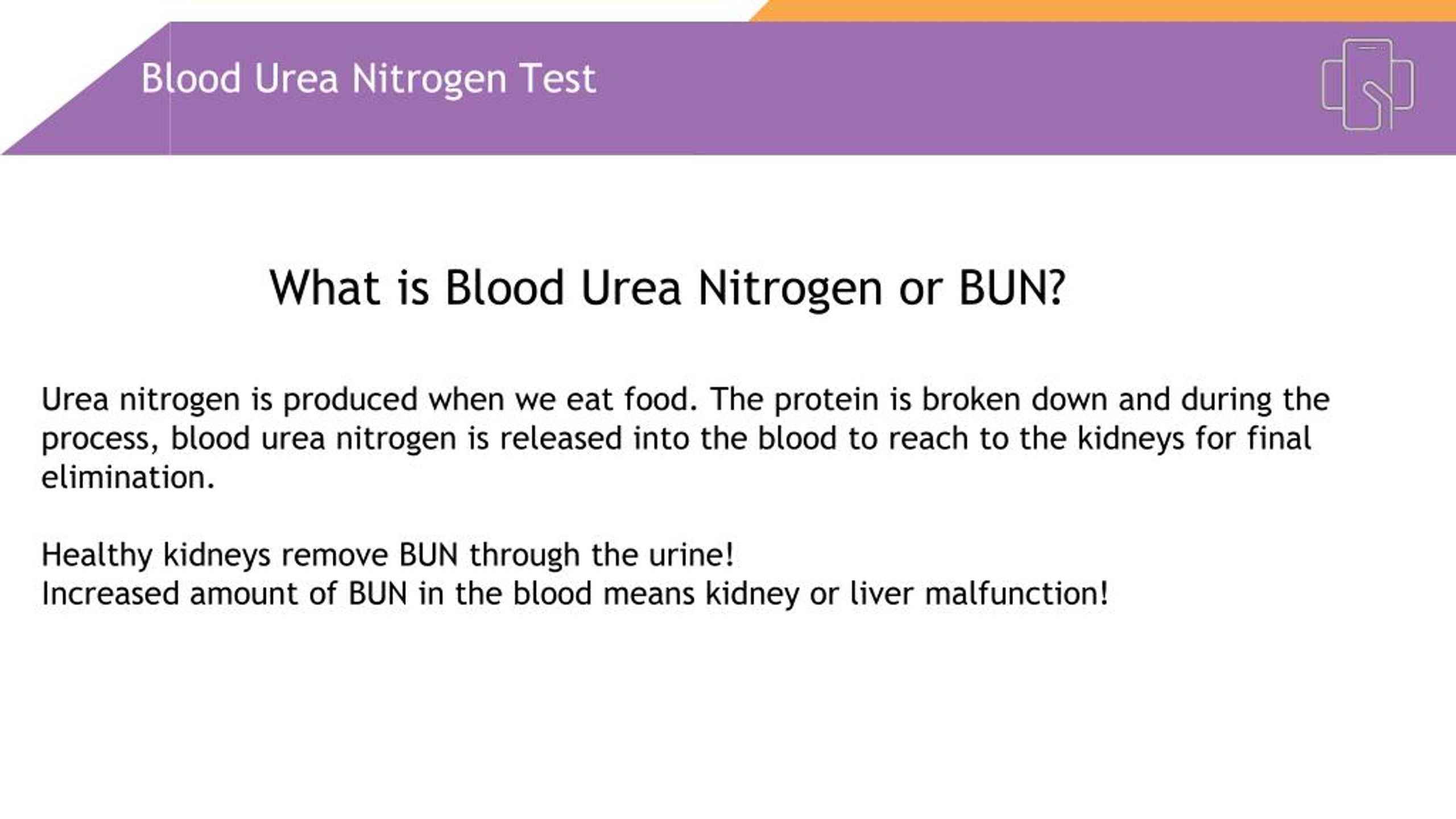 PPT Overview Of Blood Urea Nitrogen (BUN) Test PowerPoint, 53% OFF