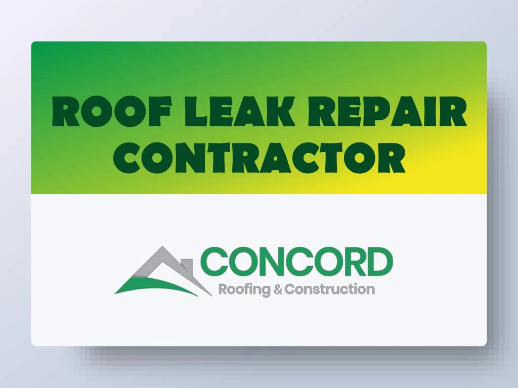 roof leak repair contractor n.
