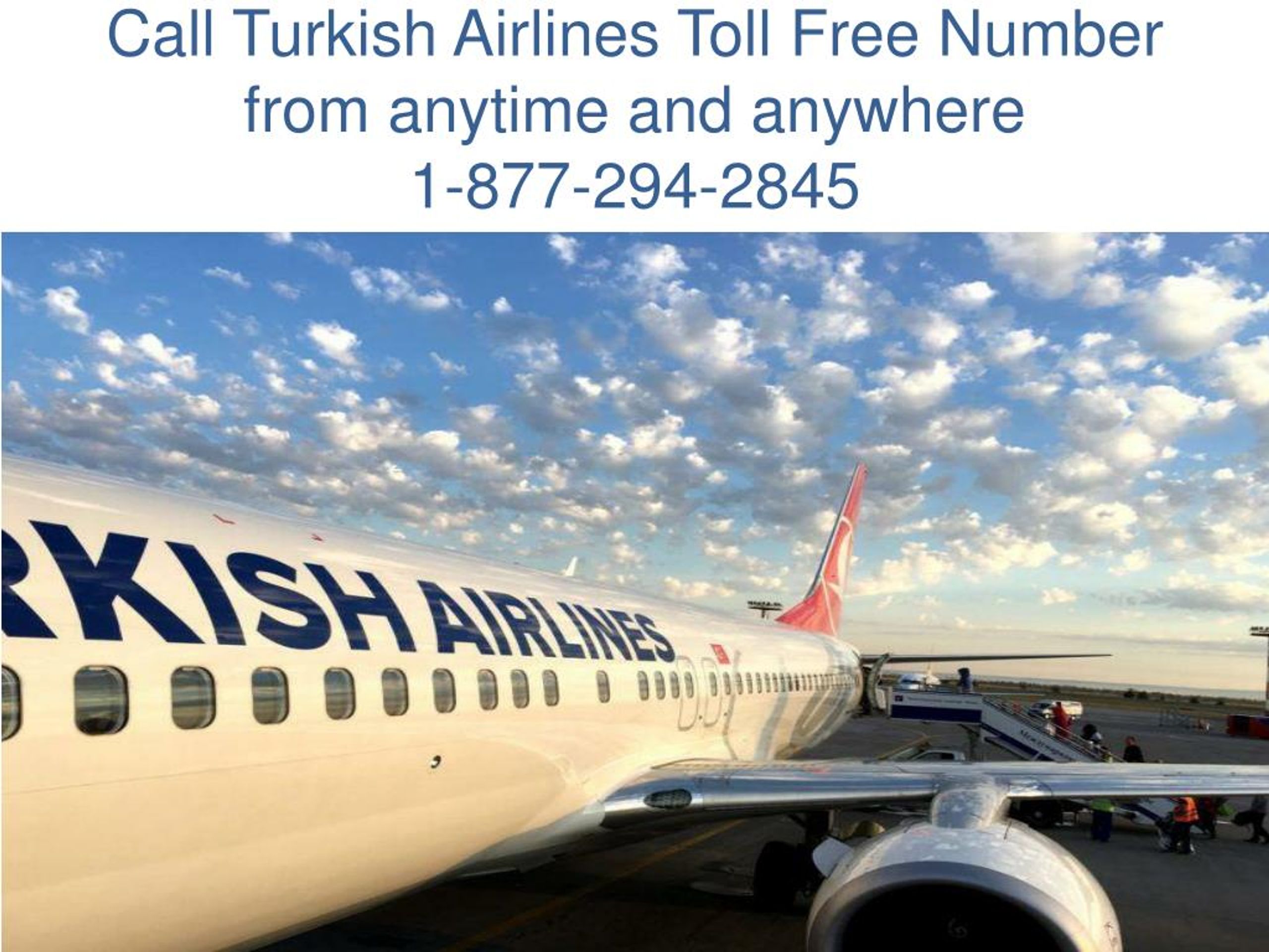 turkish airlines travel agent contact number