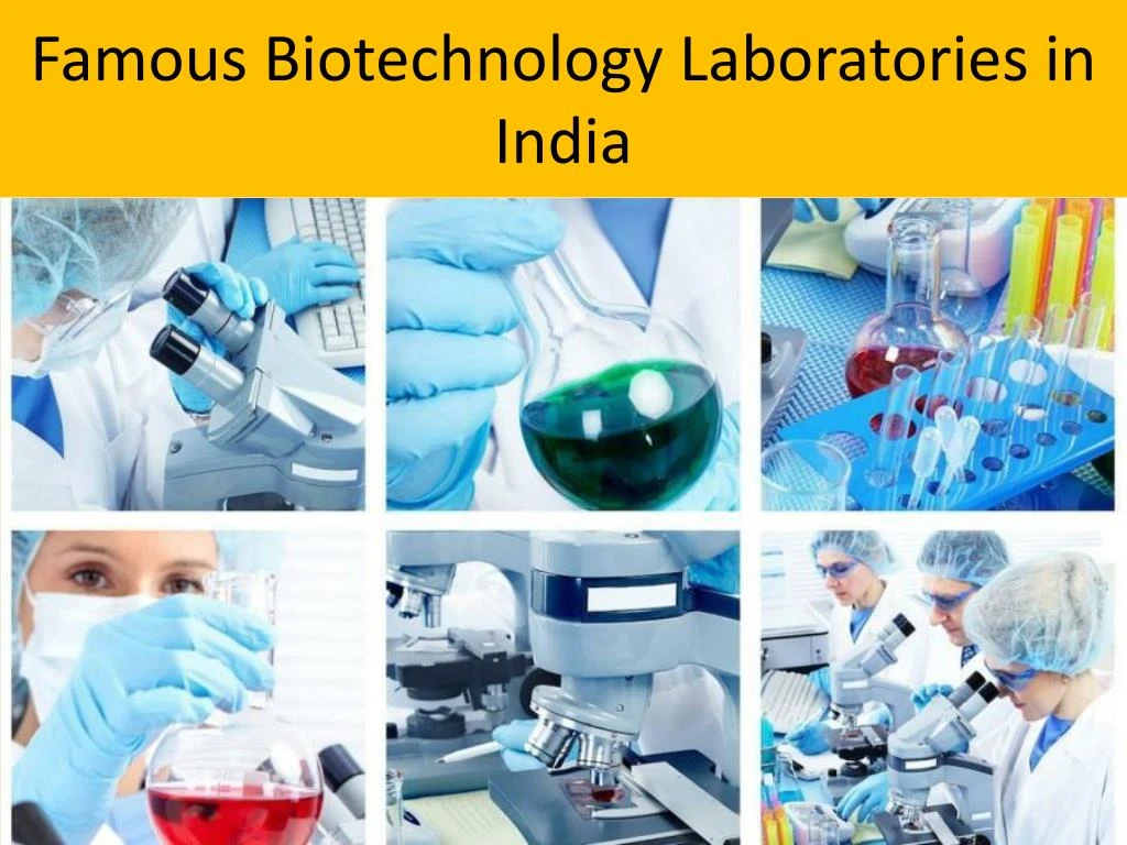 PPT Most Popular Biotechnology Laboratories in India PowerPoint