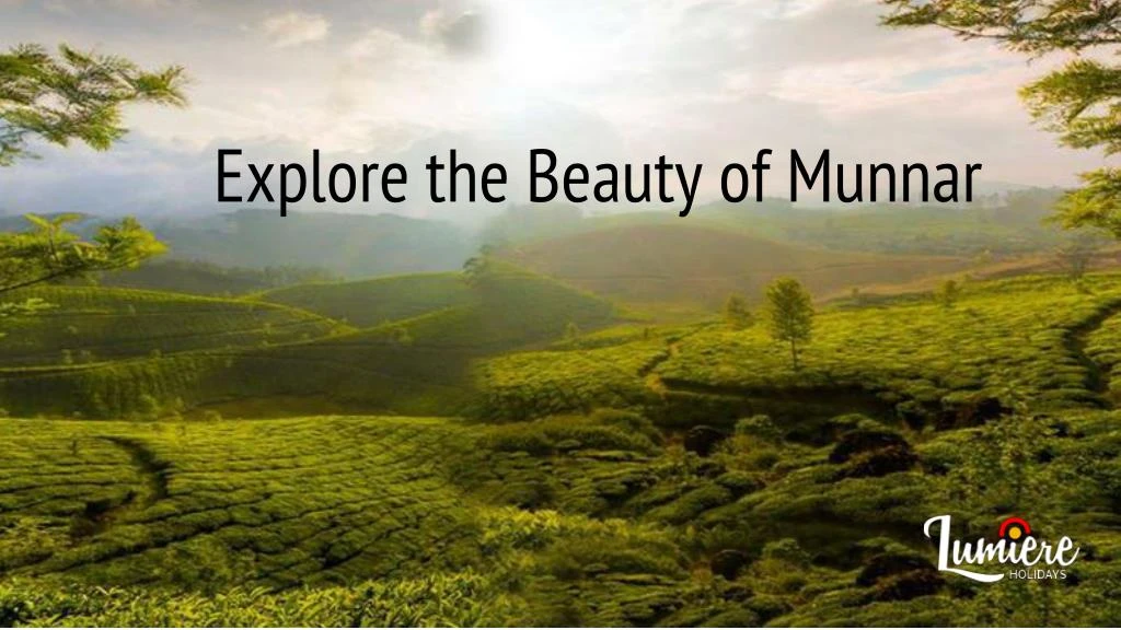 explore the beauty of munnar n.